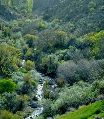 عکسهای زیبا از طبیعت کرمان