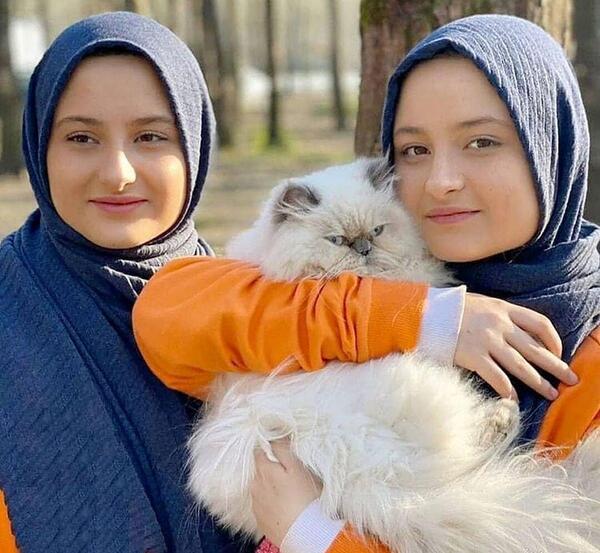عکس شنا ریحانه پارسا