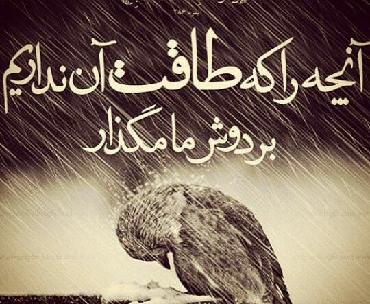 عکس خدا تمومش کن