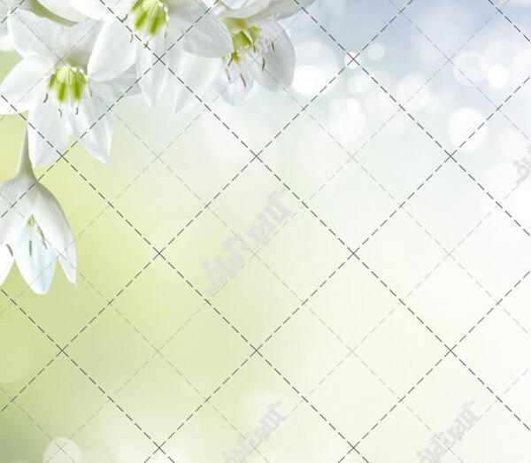 عکس رویایی گل