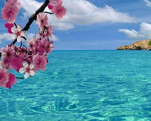 عکس دریا طلایی