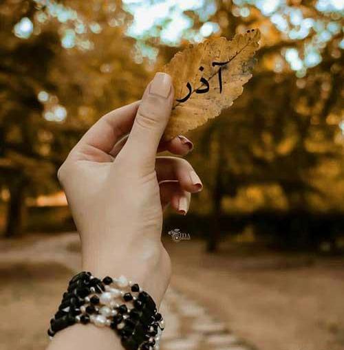عکس تولد همسر اذر ماهی