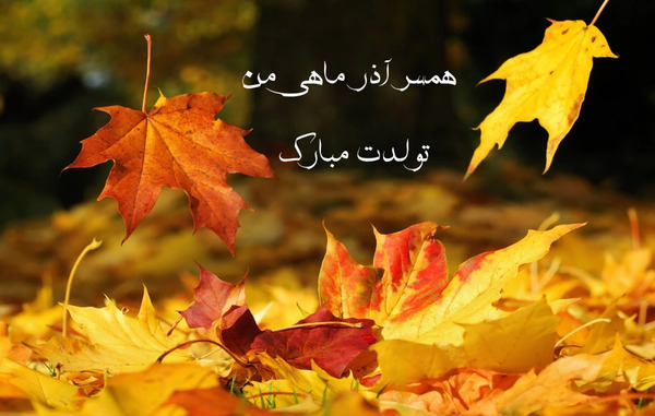 عکس تولد همسر اذر ماهی
