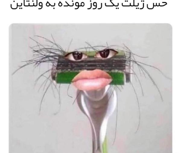 عکس آقای جهیزیه
