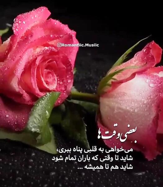 عکس استوری واتساپ حرف حق