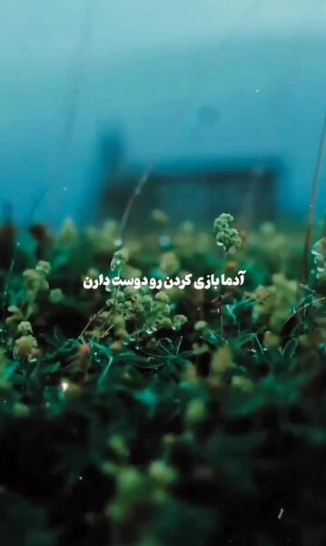 عکس استوری واتساپ حرف حق