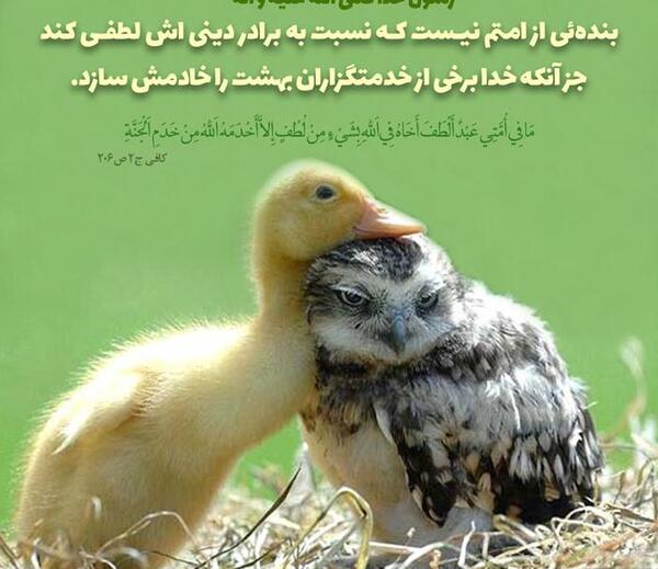 عکس نوشته حمایت برادر