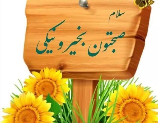 عکس ظهر ادینتون بخیر