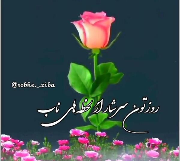 عکس ظهر ادینتون بخیر