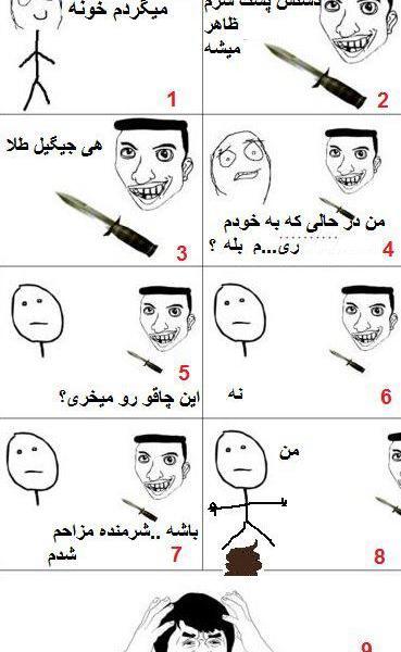 عکس زیباترین جوجه تیغی دنیا