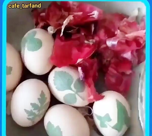 عکس سبزه عید با تخم شربتی