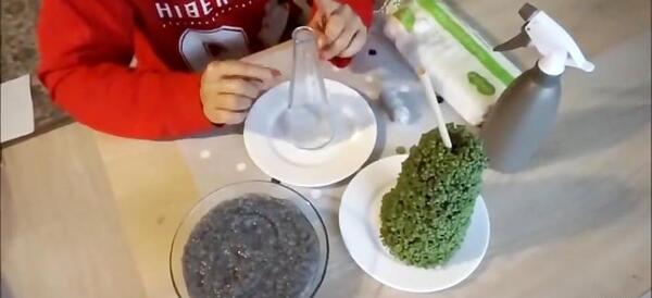 عکس سبزه عید با تخم شربتی