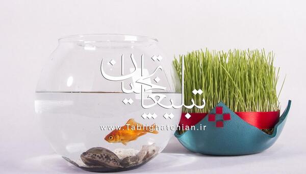 عکس سبزه عید کوچک