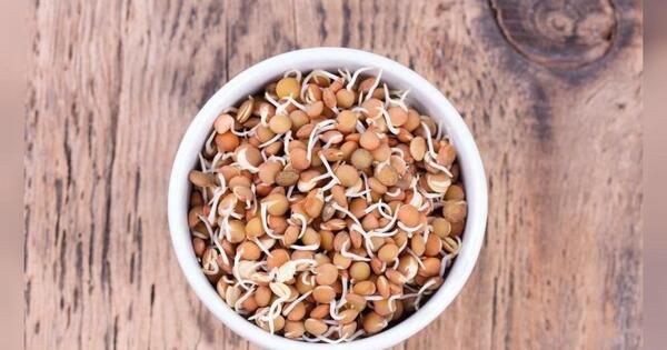 عکس سبزه عید کوچک