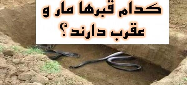 عکس مار قبرستانی