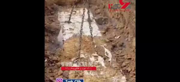 عکس مار قبرستانی