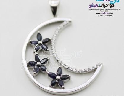 عکس تخت جمشید شیر