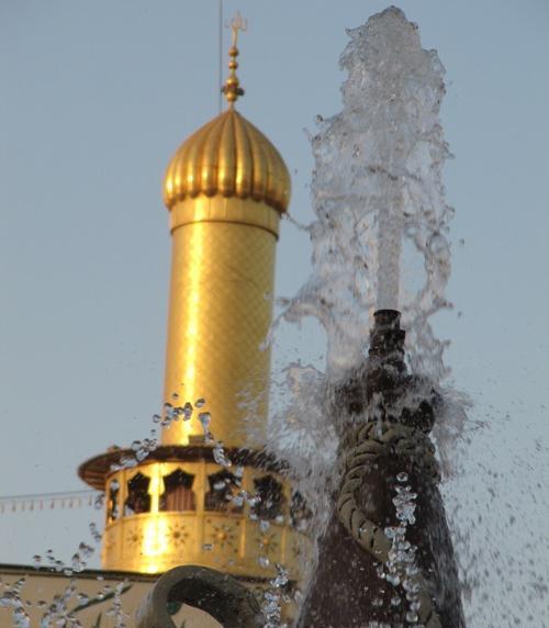 عکس حرم امام حسین کبوتر