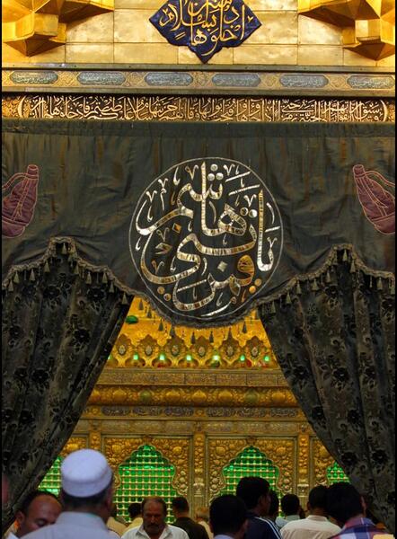 عکس حرم امام حسین کبوتر