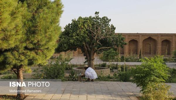 عکس مرز دوغارون