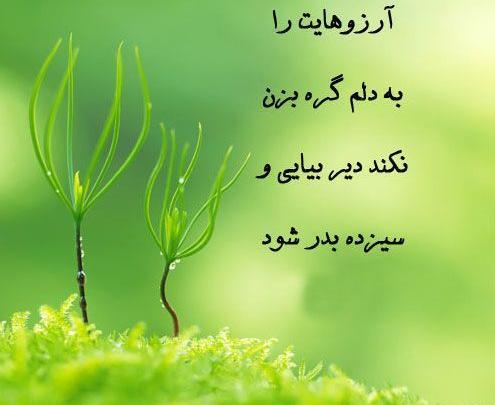 عکس پیام تبریک روز طبیعت عاشقانه