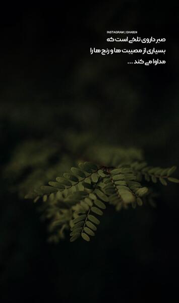 عکس صبر