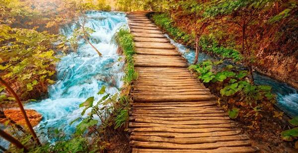 عکس زیبا از طبیعت برای پس زمینه