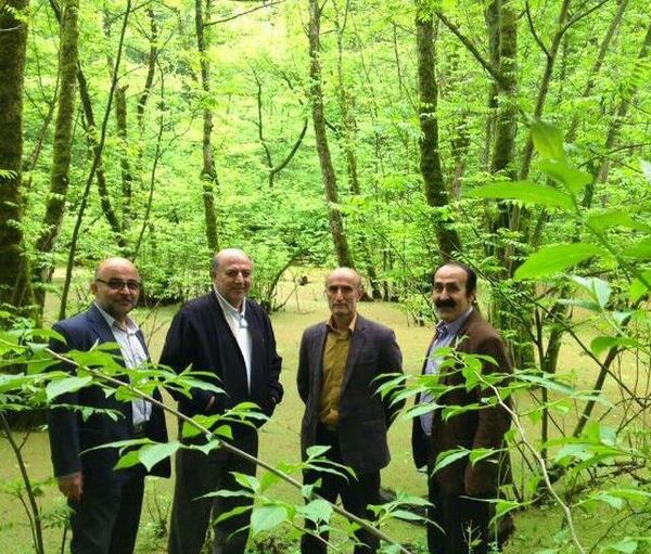 عکس صادق شیک