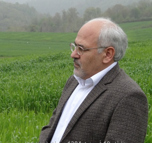 عکس صادق شیک