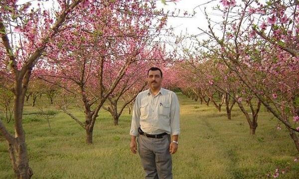 عکس صادق شیک