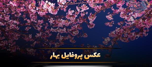 عکس نوشته با عکس