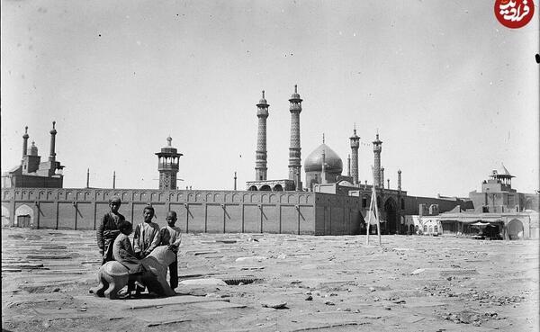 عکسی از شیر