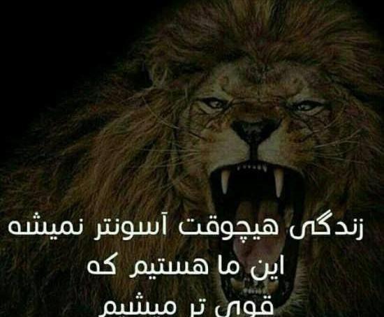 عکس نوشته های علمی و آموزنده