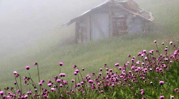 عکس تصاویر زیبای طبیعت تابستانی