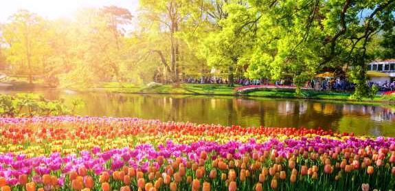 عکس تصاویر زیبای طبیعت تابستانی