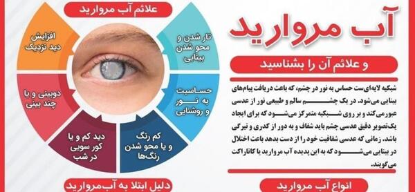عکس های ودینگ تاک مروارید و همسرش