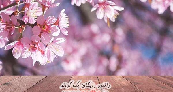 عکس های ودینگ تاک مروارید و همسرش