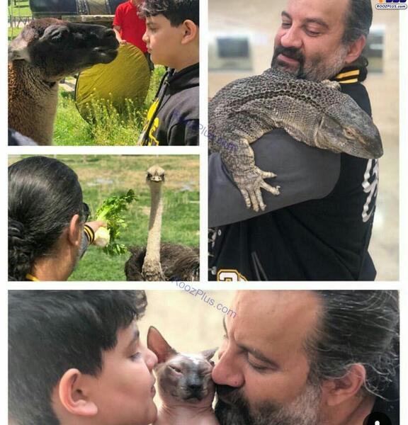 عکس مهراب صدای خسته
