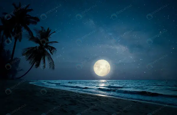 عکس دریا در شب