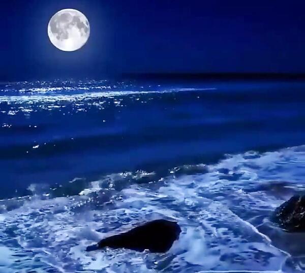عکس دریا در شب