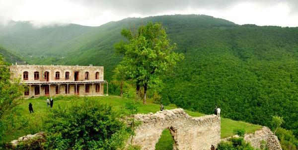 عکس طبیعت جنگل شمال