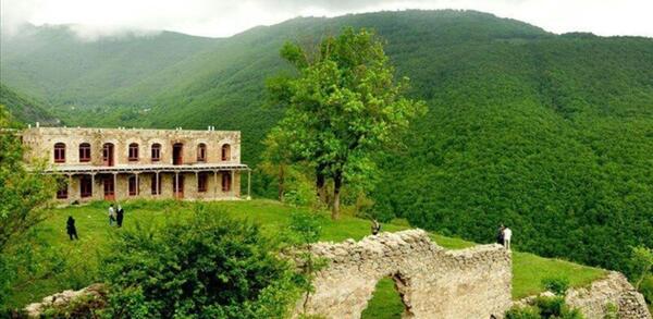 عکس طبیعت جنگل شمال