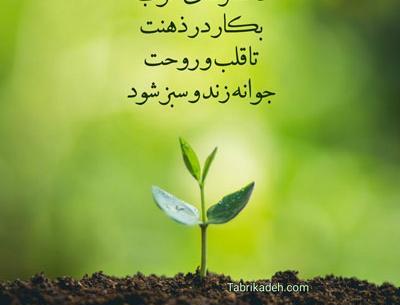 عکس نوشته غمگین وقتی مردم