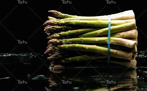 عکس مار چوبه