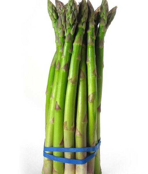 عکس مار چوبه