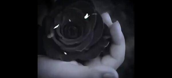 عکس پنجشنبه و حس دلتنگی