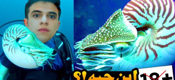 عکس دایناسورهای عجیب