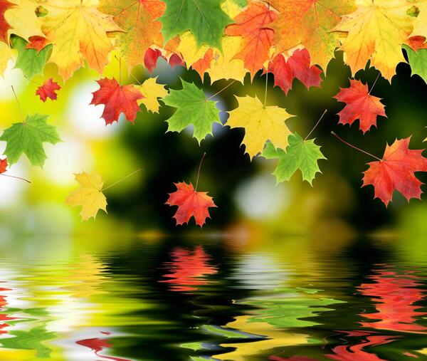 عکس پاییز زیبا برای فتوشاپ