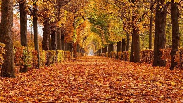 عکس پاییز زیبا برای فتوشاپ