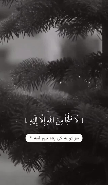 عکس نوشته یا عماد من لا عماد له